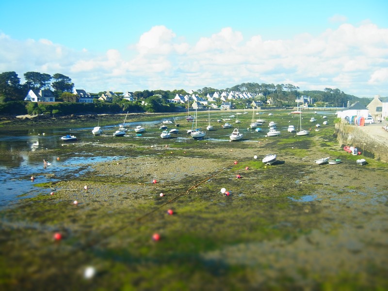 Le port du Conquet - 2