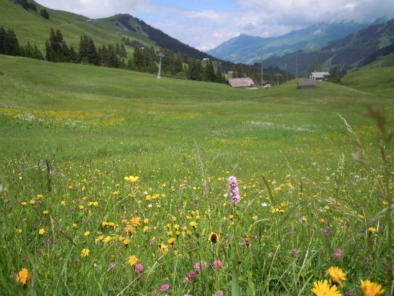 DSCN1087.JPG