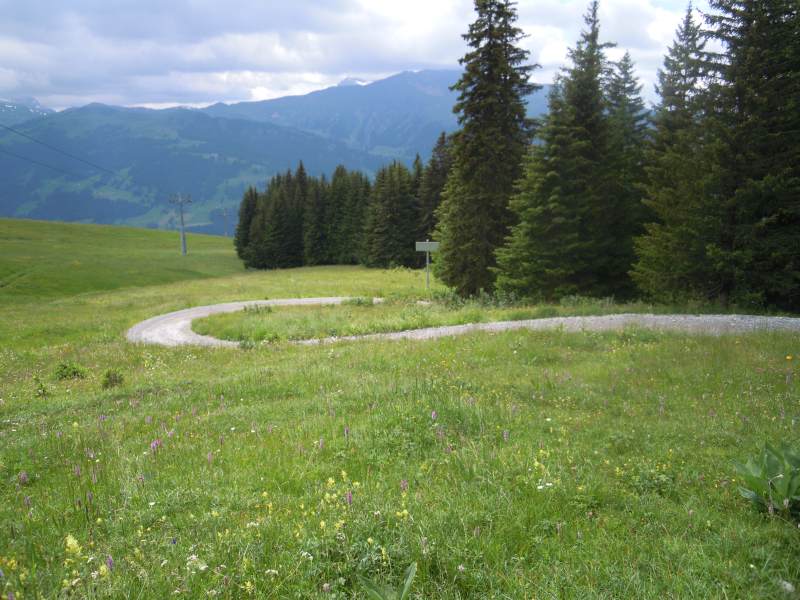 DSCN1094.JPG