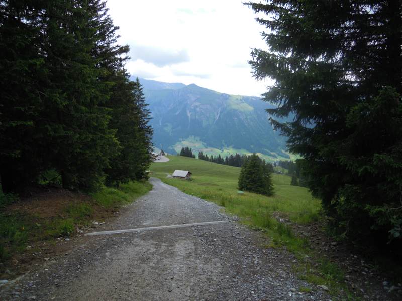 DSCN1095.JPG