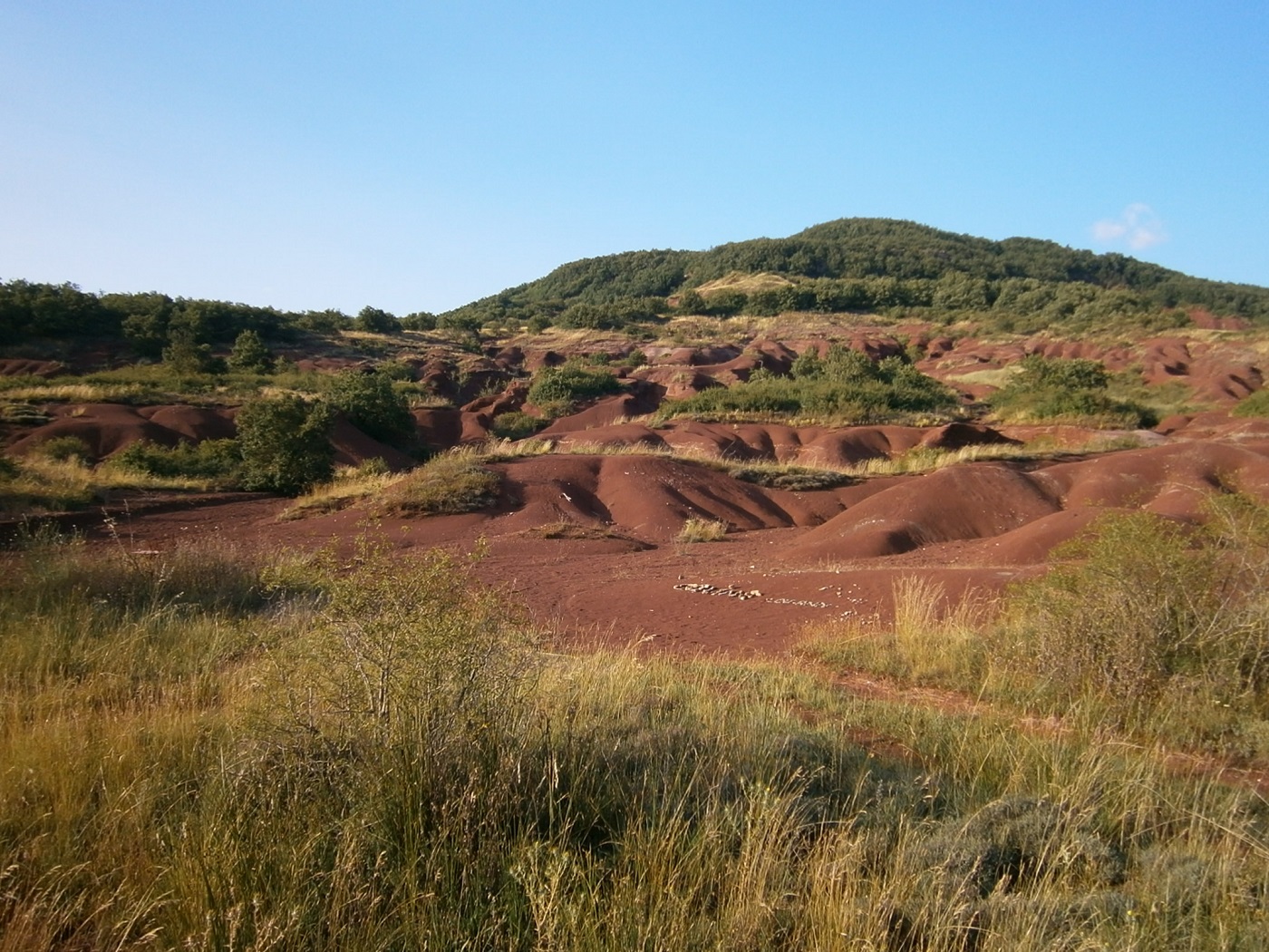 Le rougier