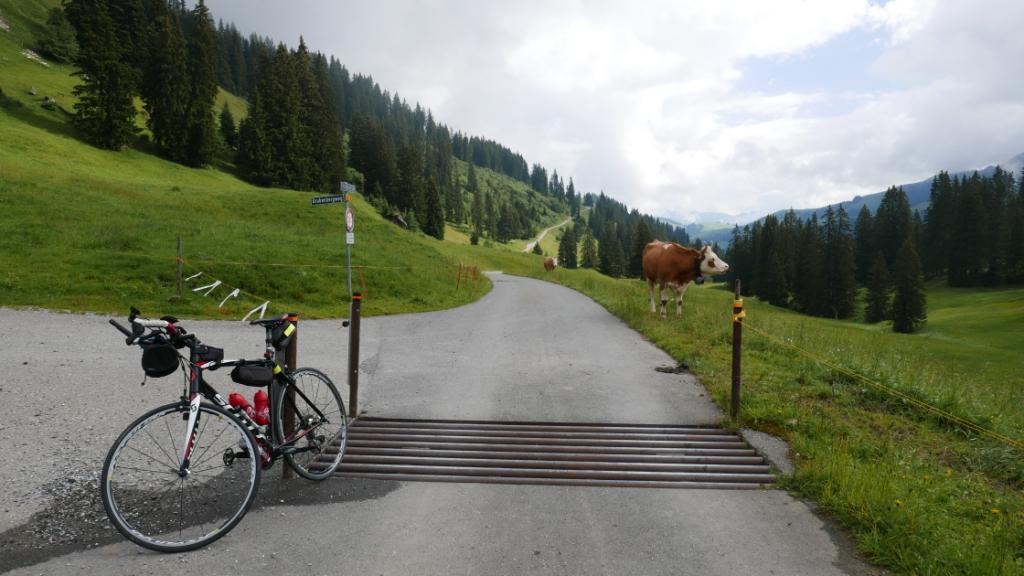 Grübenbergpass