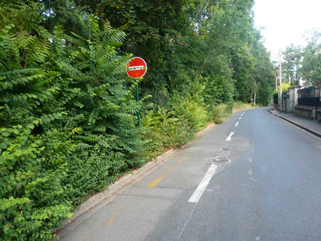 P1020250.JPG