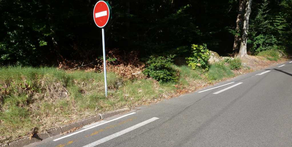 P1020248bis.JPG