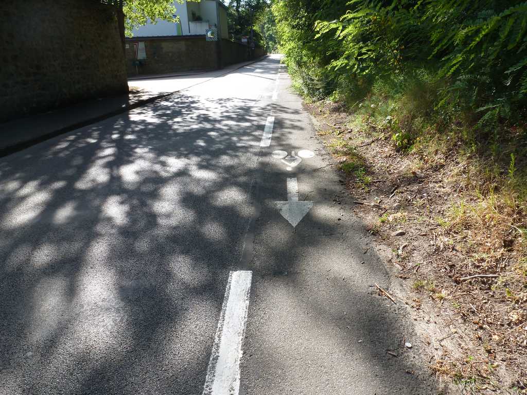 P1020245.JPG