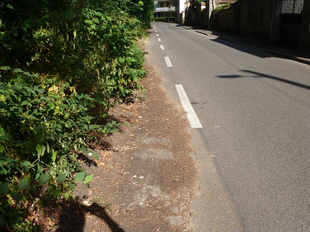 P1020244.JPG
