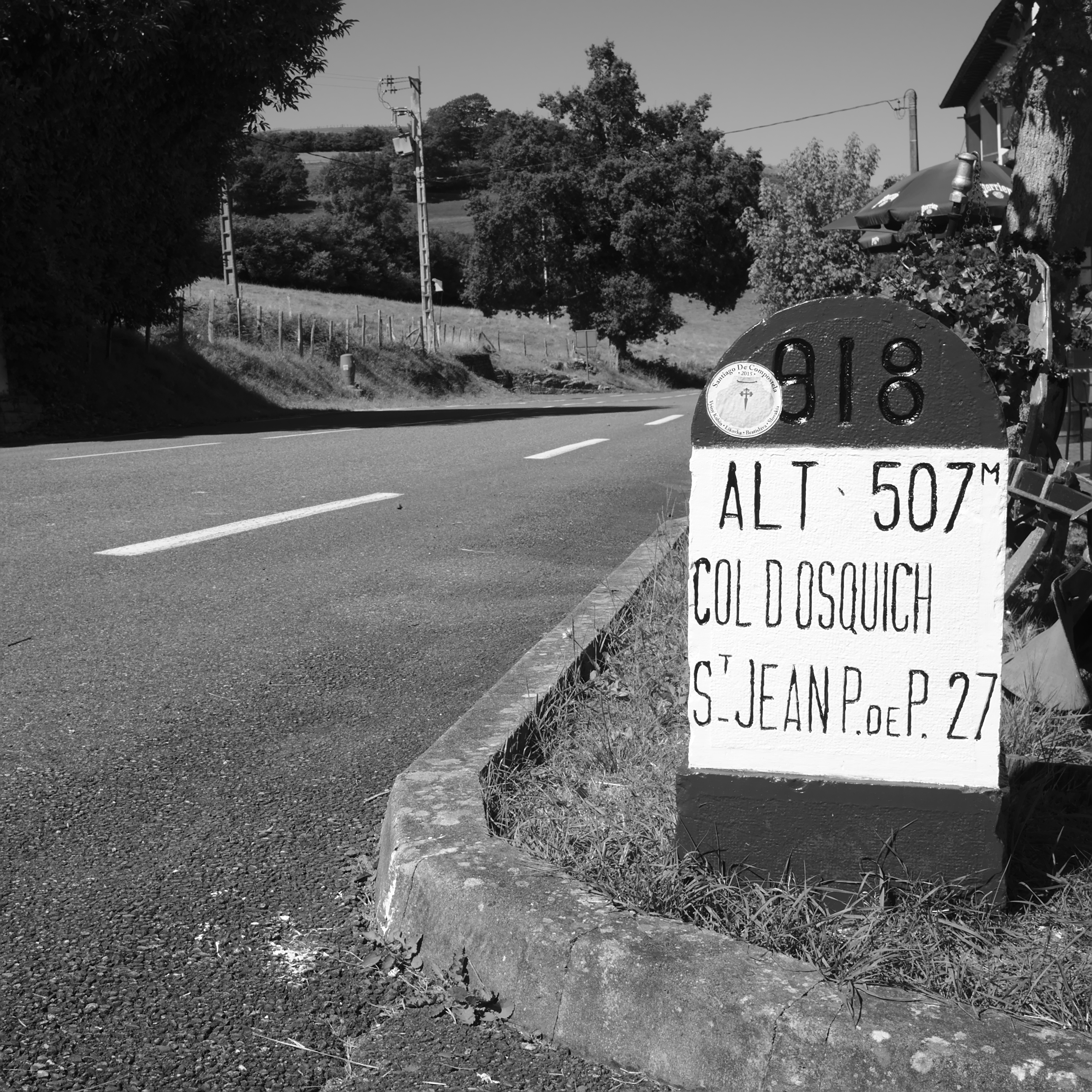 2016_08 (056).jpg