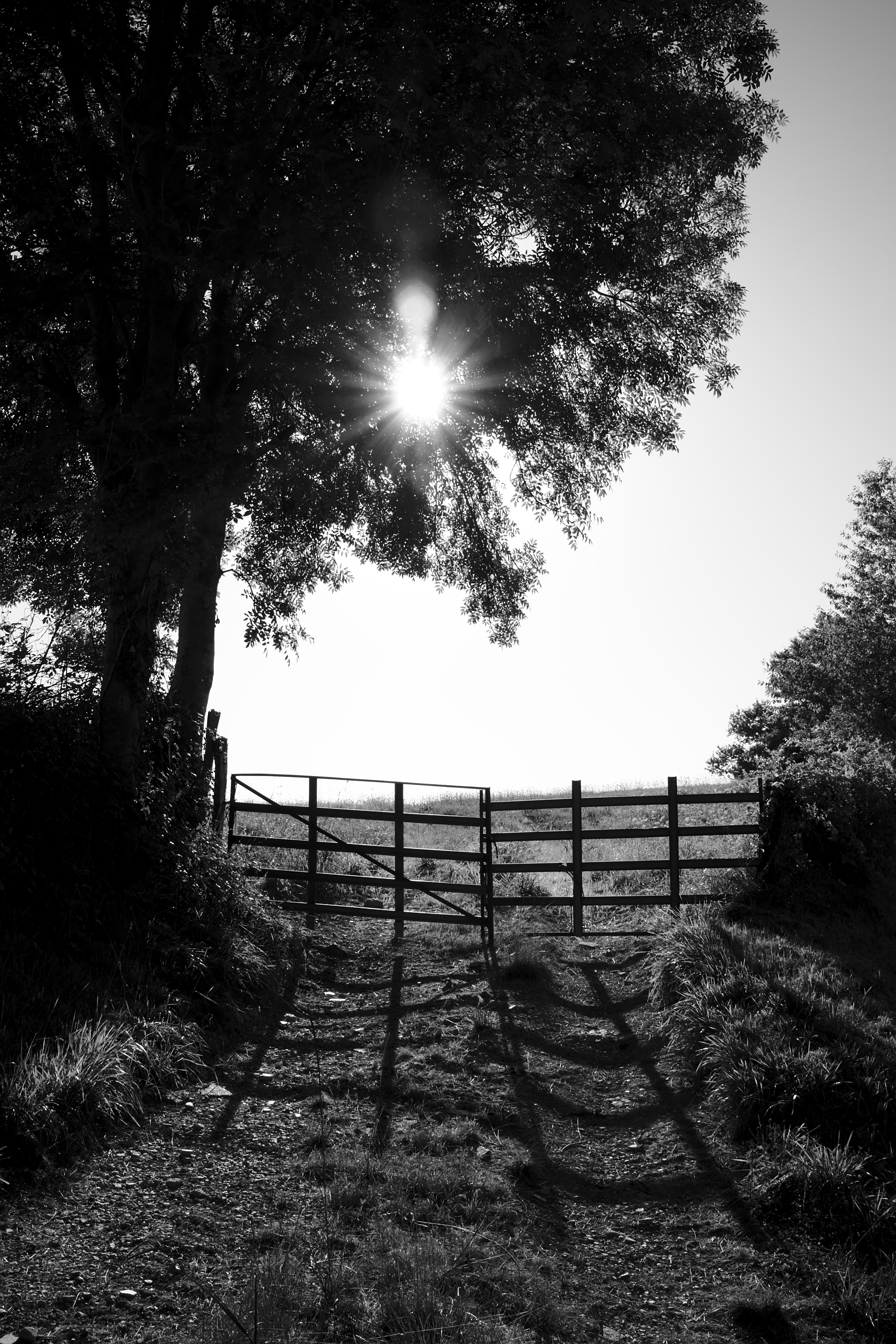 2016_08 (086).jpg