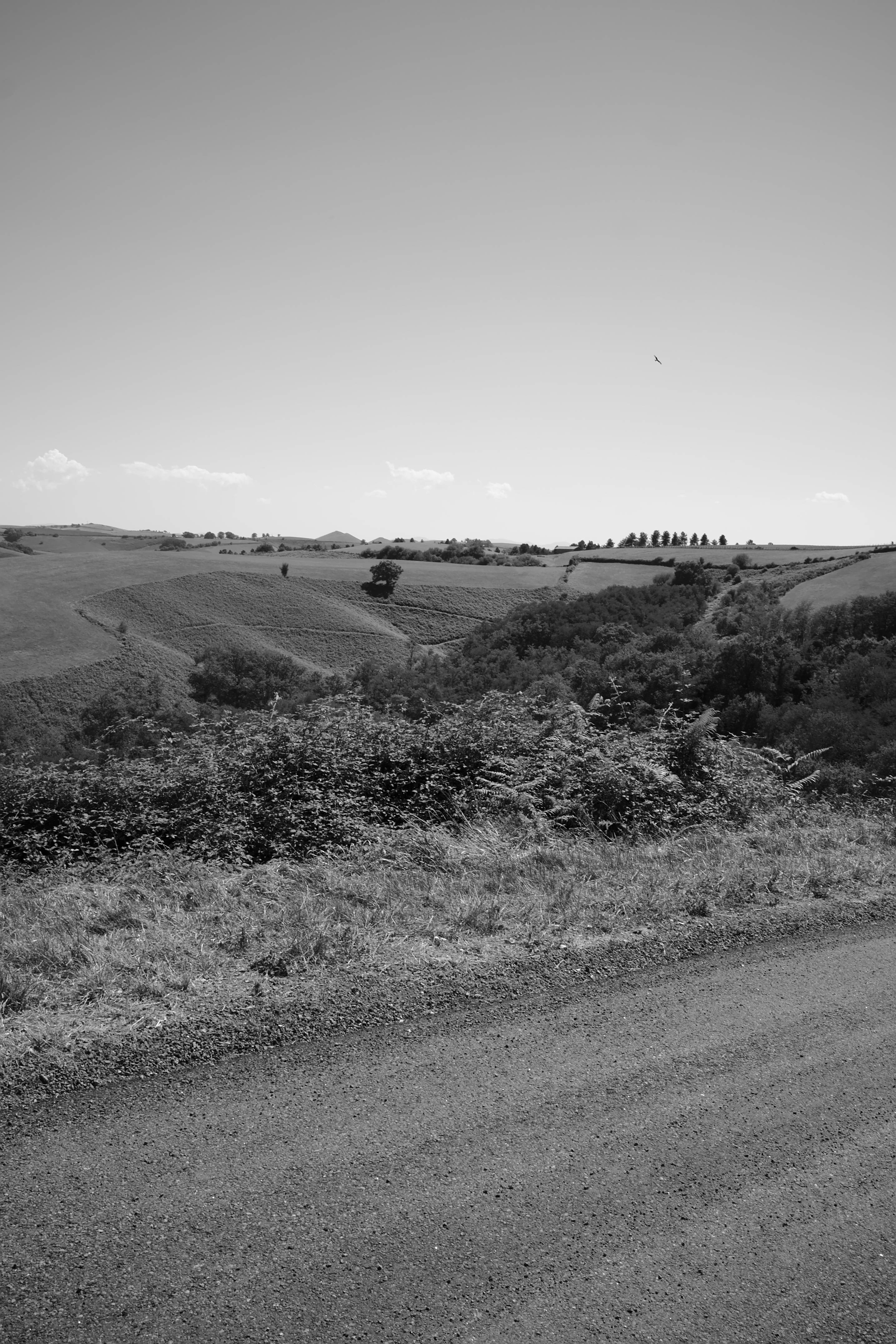 2016_08 (114).jpg