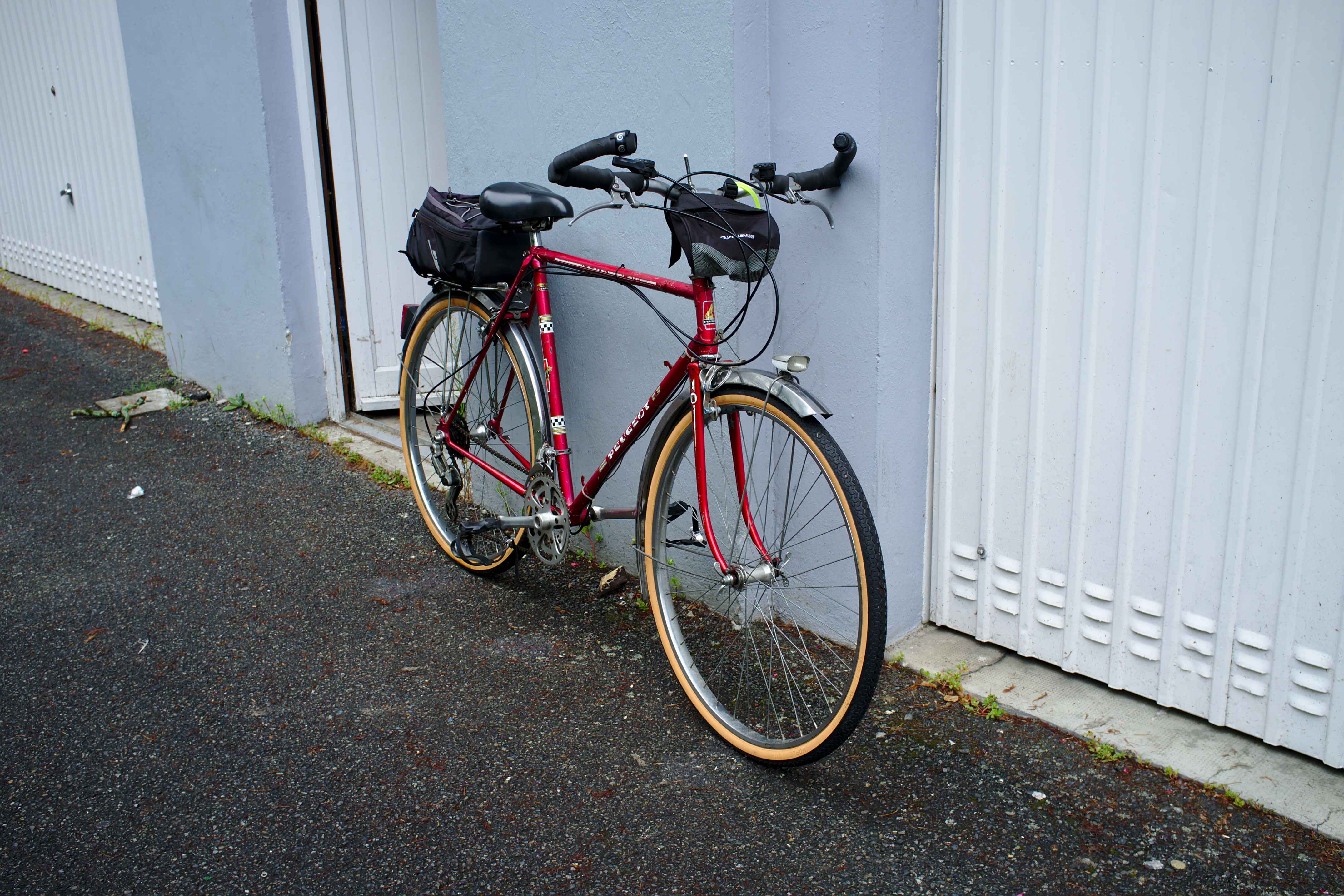 DSCF3350.jpg