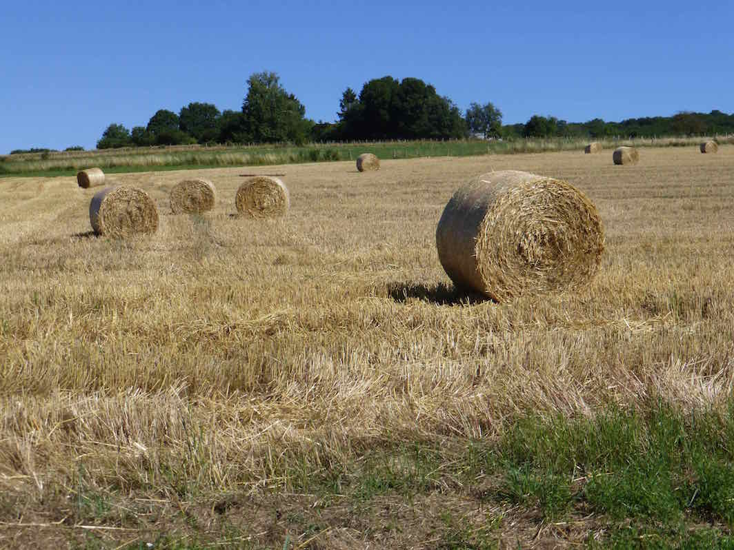 La paille.jpg