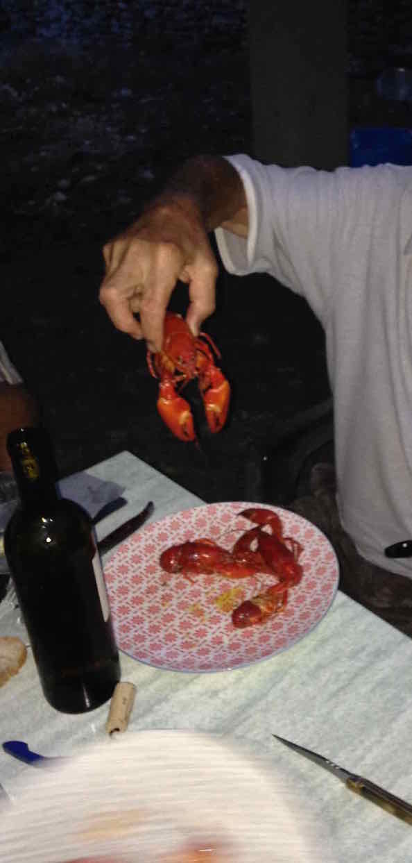 pinces rouges.jpg