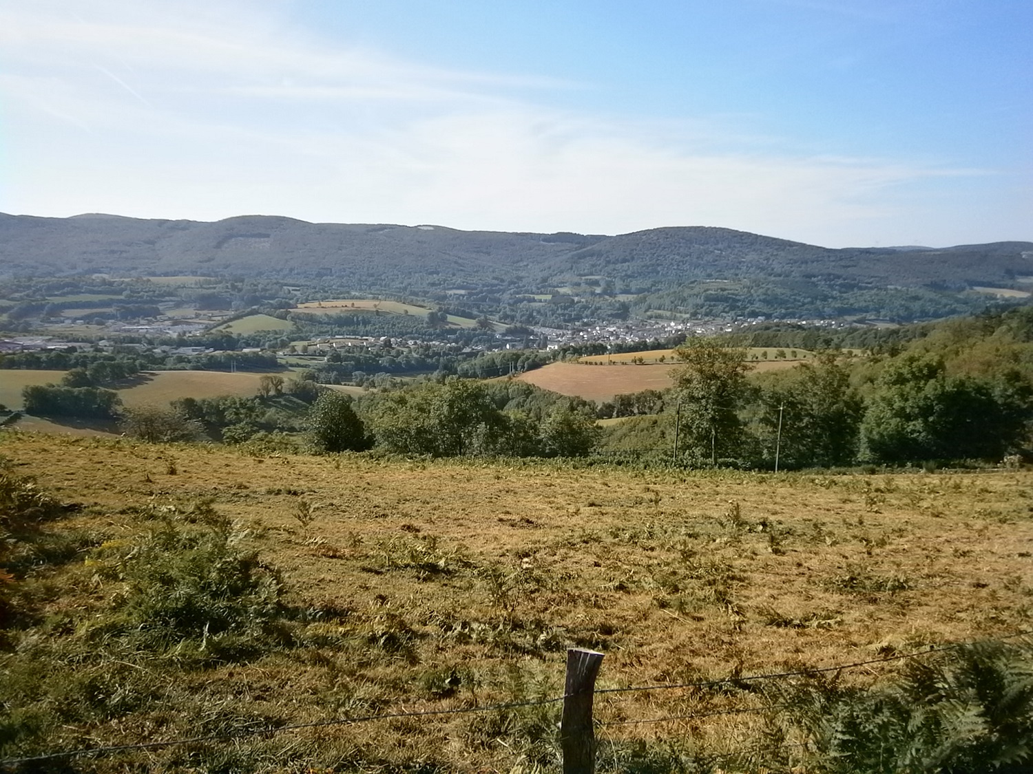 Lacaune