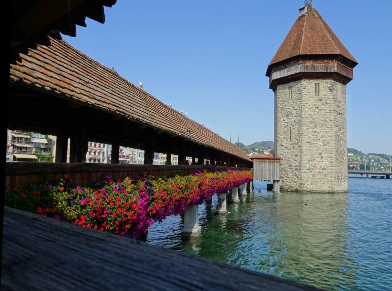 Lucerne