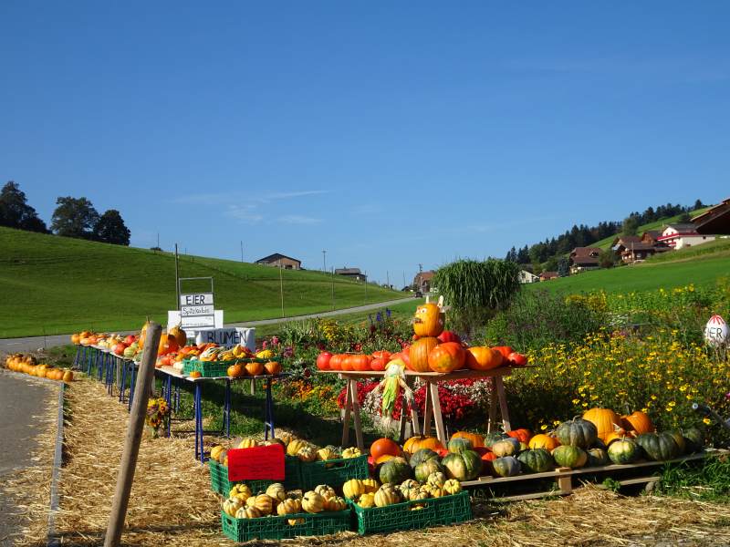 Vente libre des produits de la ferme