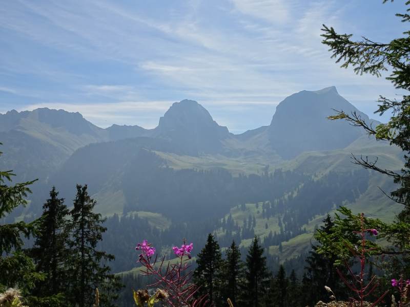 Le Gantrisch