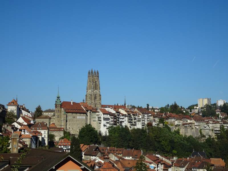 DSC00447.JPG