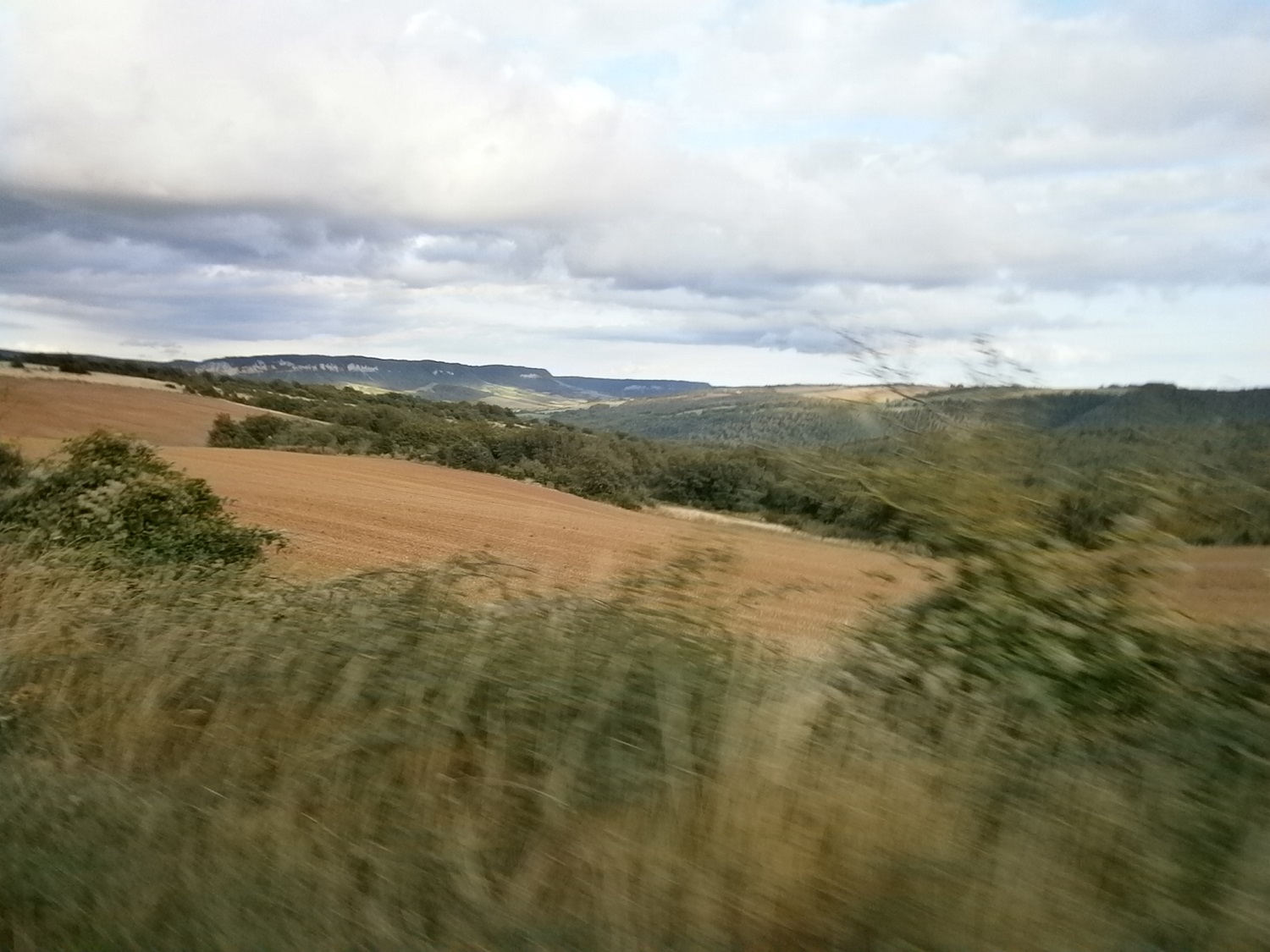 L'avant Causse de Mascourbe