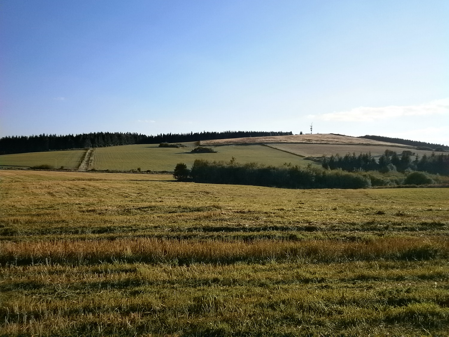 Si j'avais été en 650B je serai monté à l'antenne mais en 700x25 j'ai pas essayé.