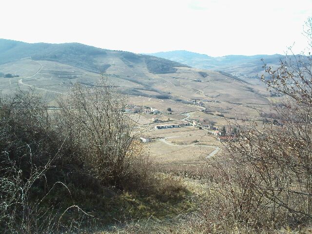 p1.jpg