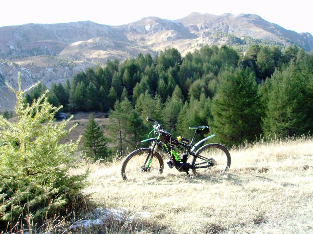 PA110002.JPG