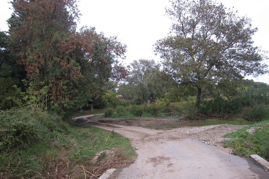 Le vignoble a perdu de la terre