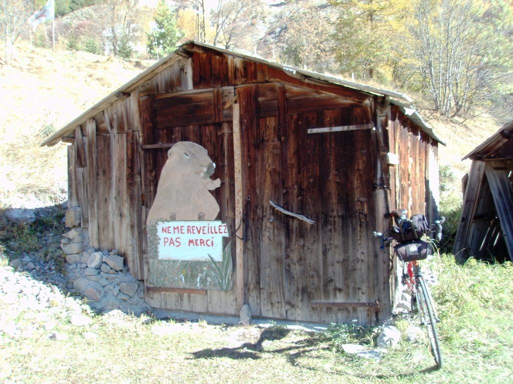 PA220009.JPG