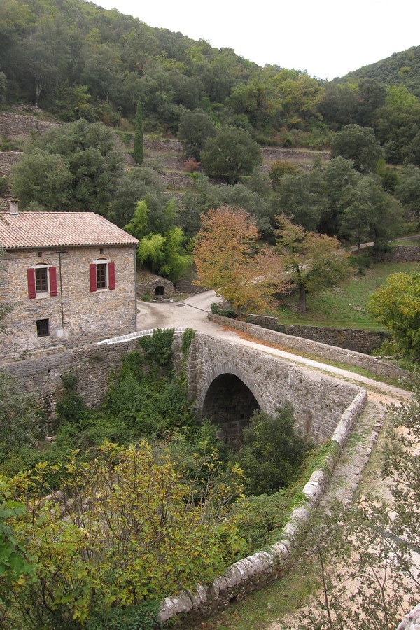 Vallée cévenole et architecture typiques