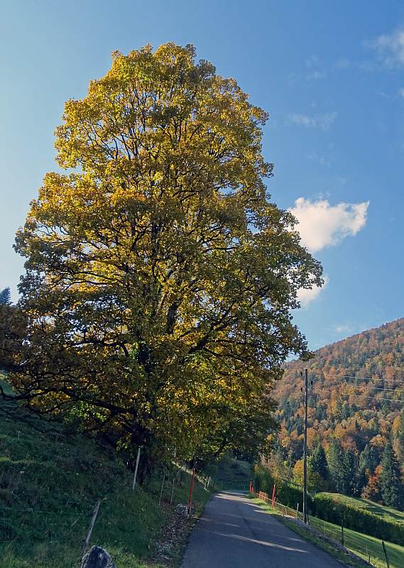 Montée au Beclet