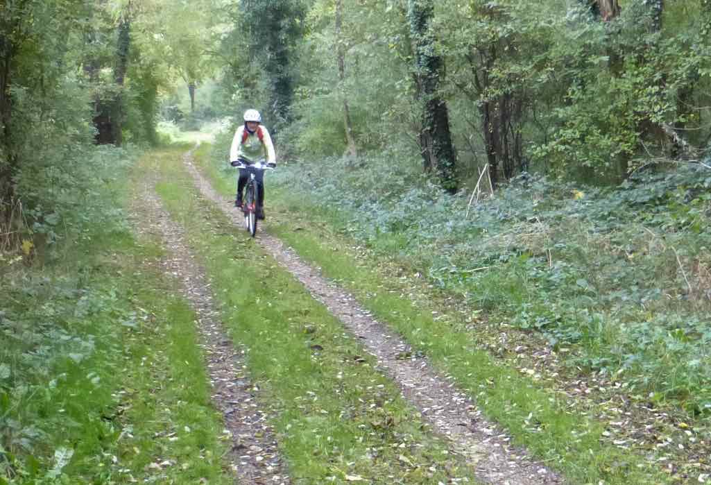 Chemin vert à Moncey.jpg