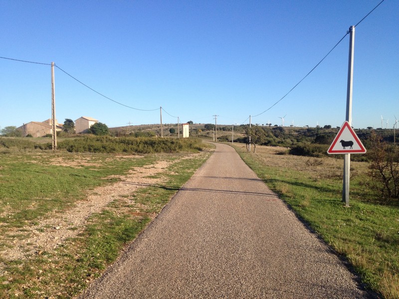 Montée sur le Causse d'Aumelas par ma route préférée de la région