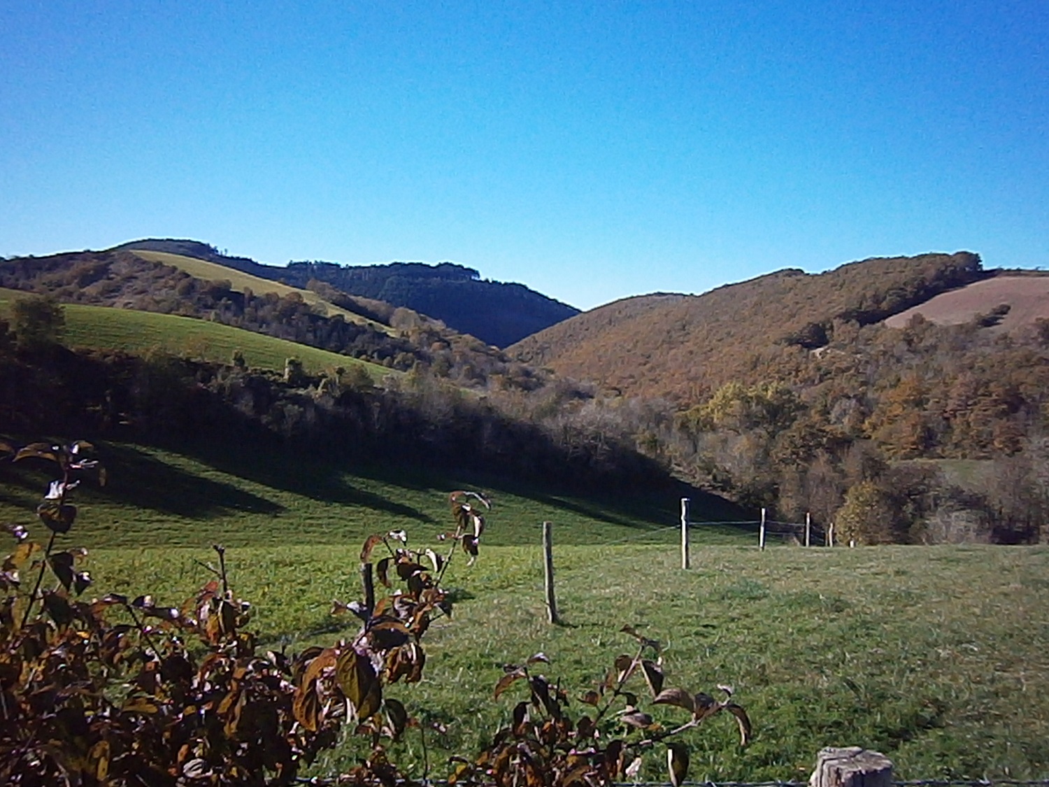 Le bois de Mougné et la vallée du Cabot