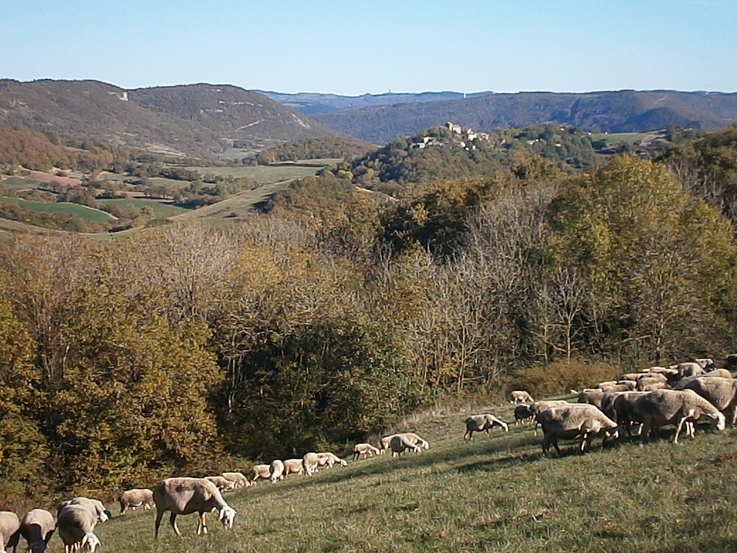 On bascule dans le bassin de l'Orb au premier plan le hameau de Rocozels