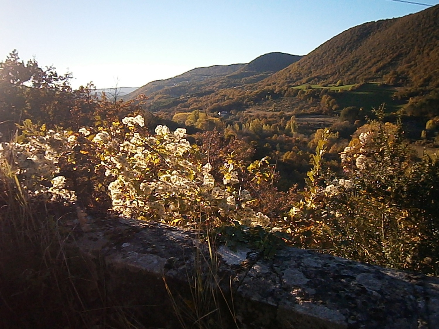 Et voila retour dans la vallée à Fontdamente