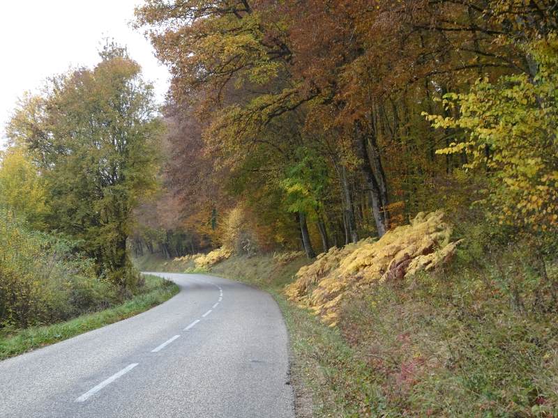 Dans la vallée de l'Ill