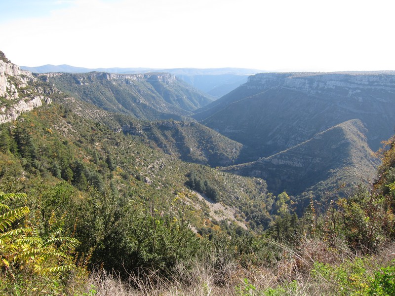 Gorges de la Vis entre causse de Blandas et Larzac