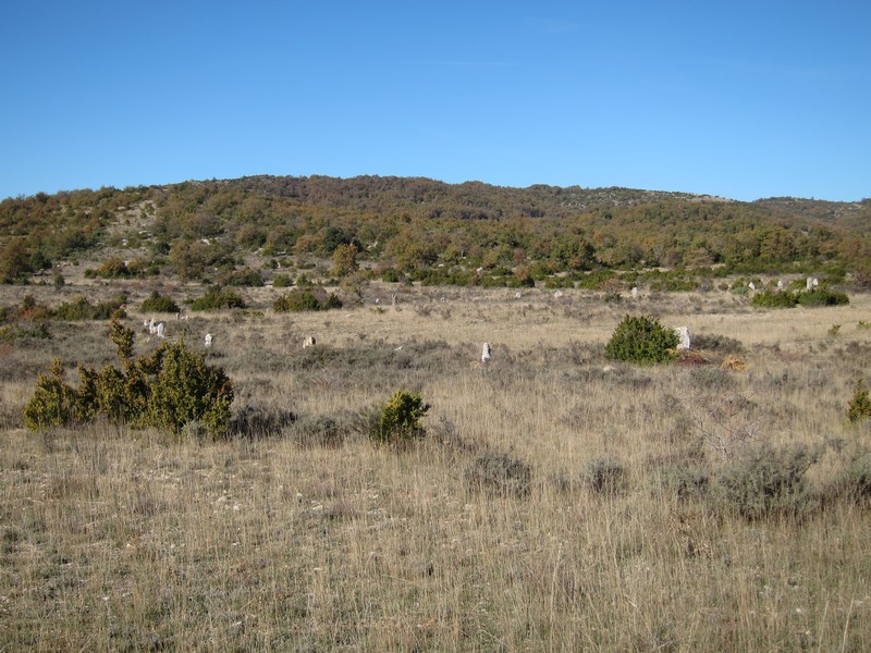 Cromlech de Peyrarines, Blandas