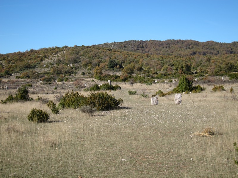 Cromlech de Peyrarines, Blandas