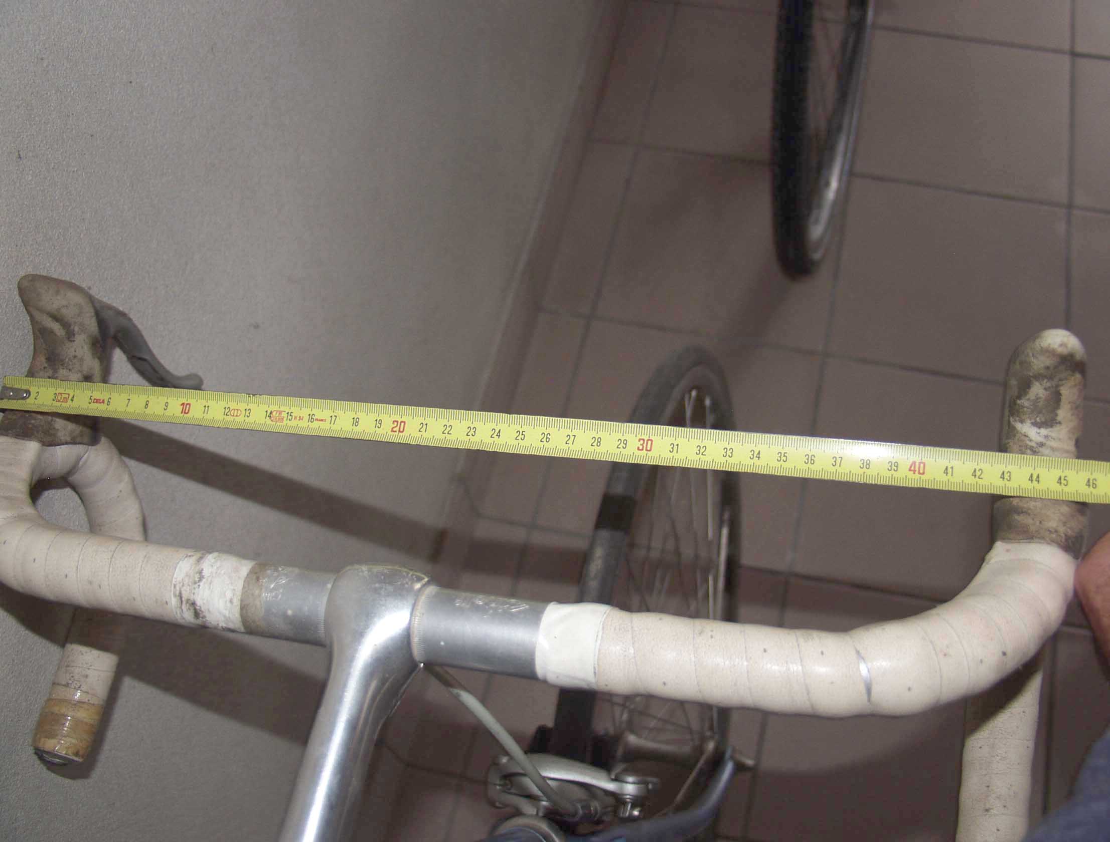 P1011500y.jpg