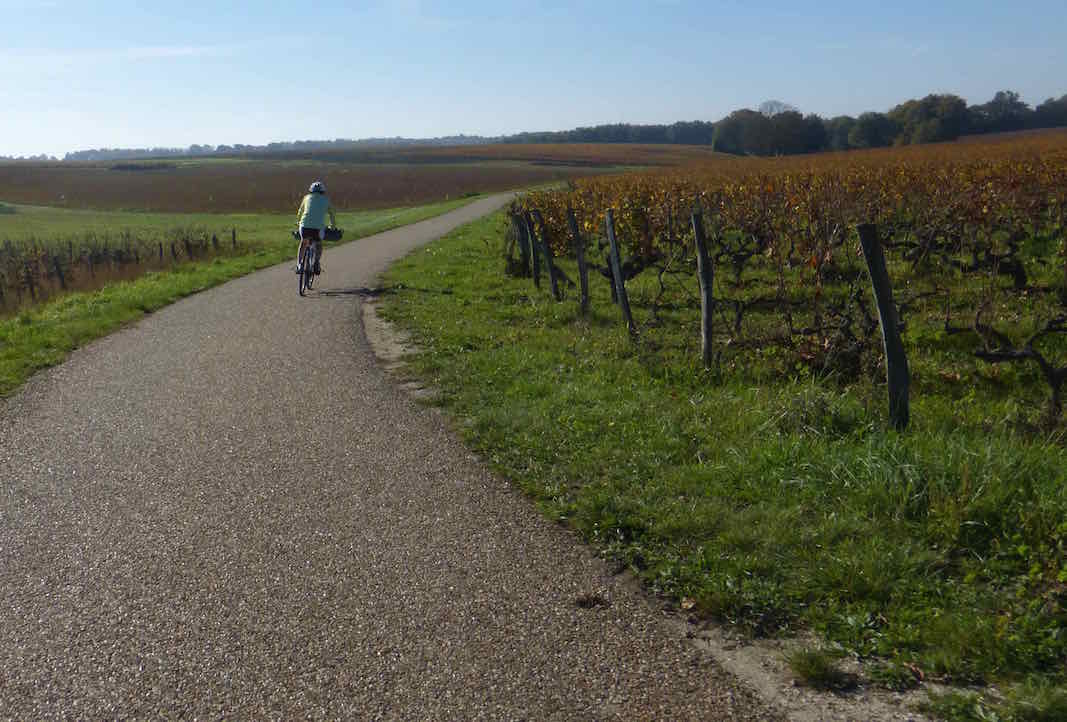 les vignes de Montlouis.jpg