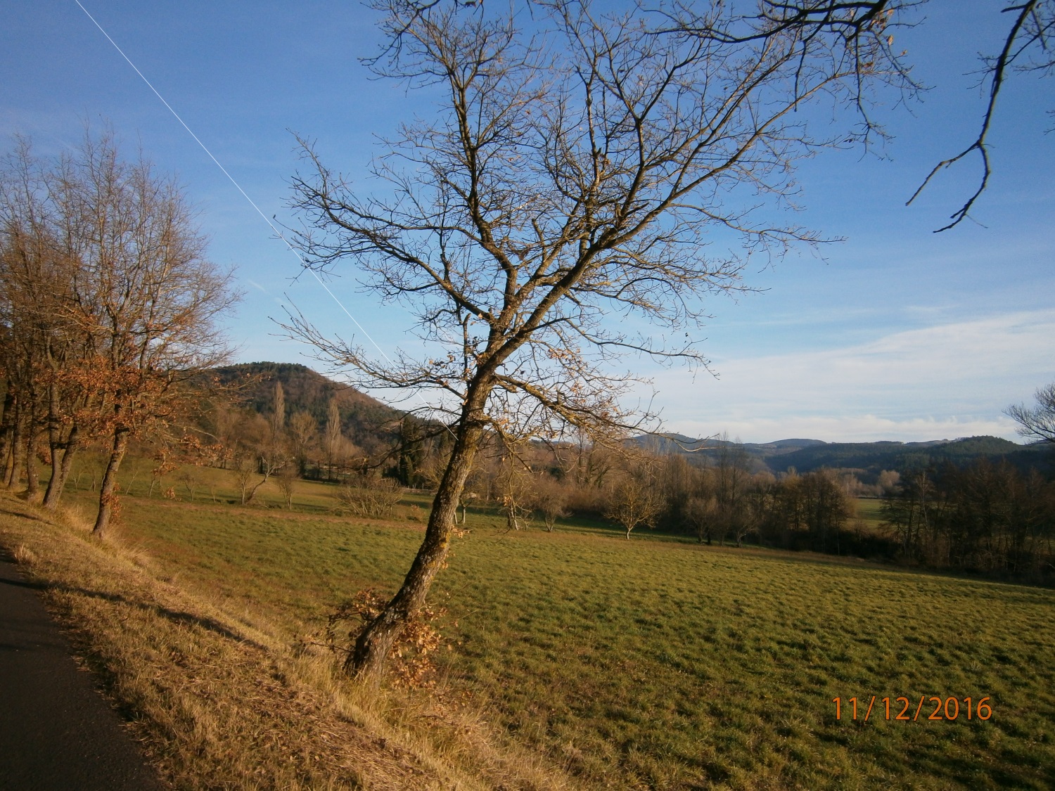 PC110696.JPG
