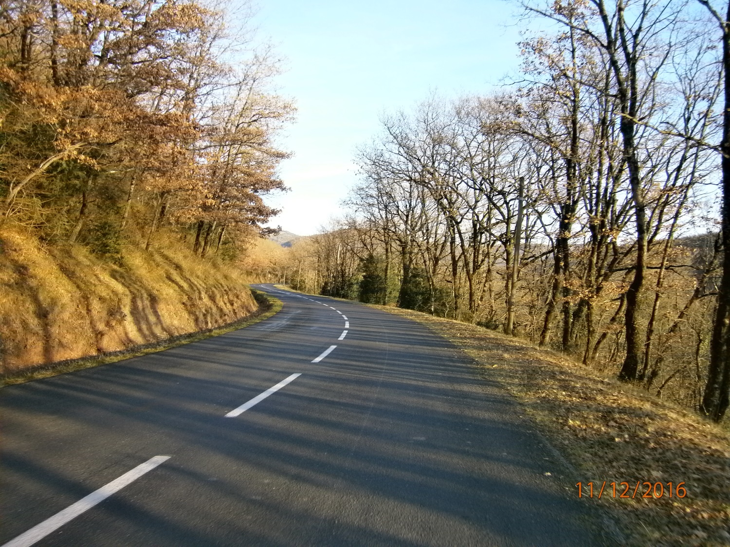 PC110706.JPG