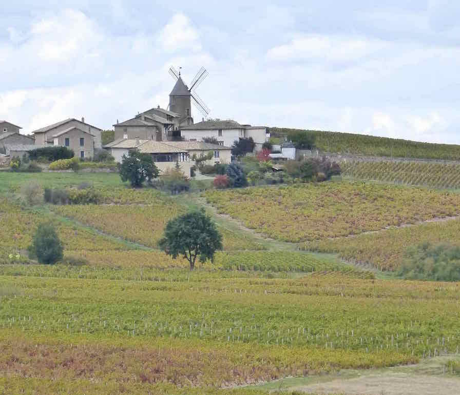 le Moulin à Vent.jpg