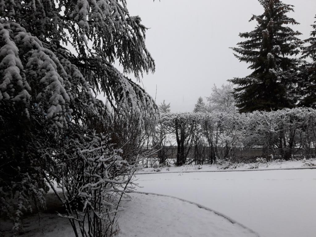 Jardin ce 04/02/17