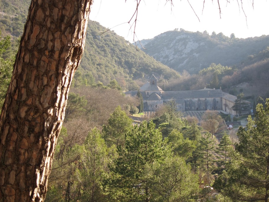 Abbaye de Sénanque
