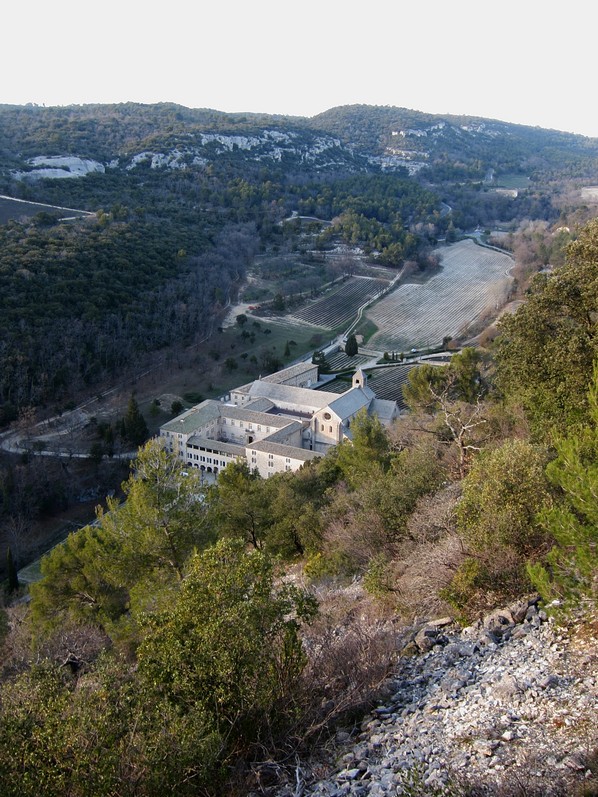 Abbaye de Sénanque et son vallon