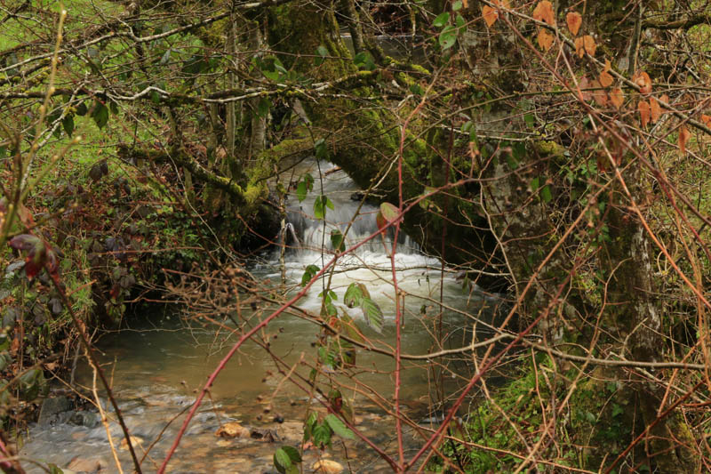 _MG_1954W.jpg