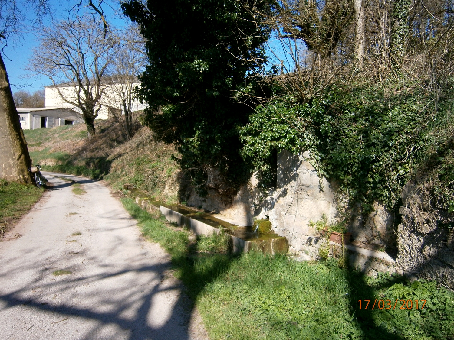P3170760.JPG