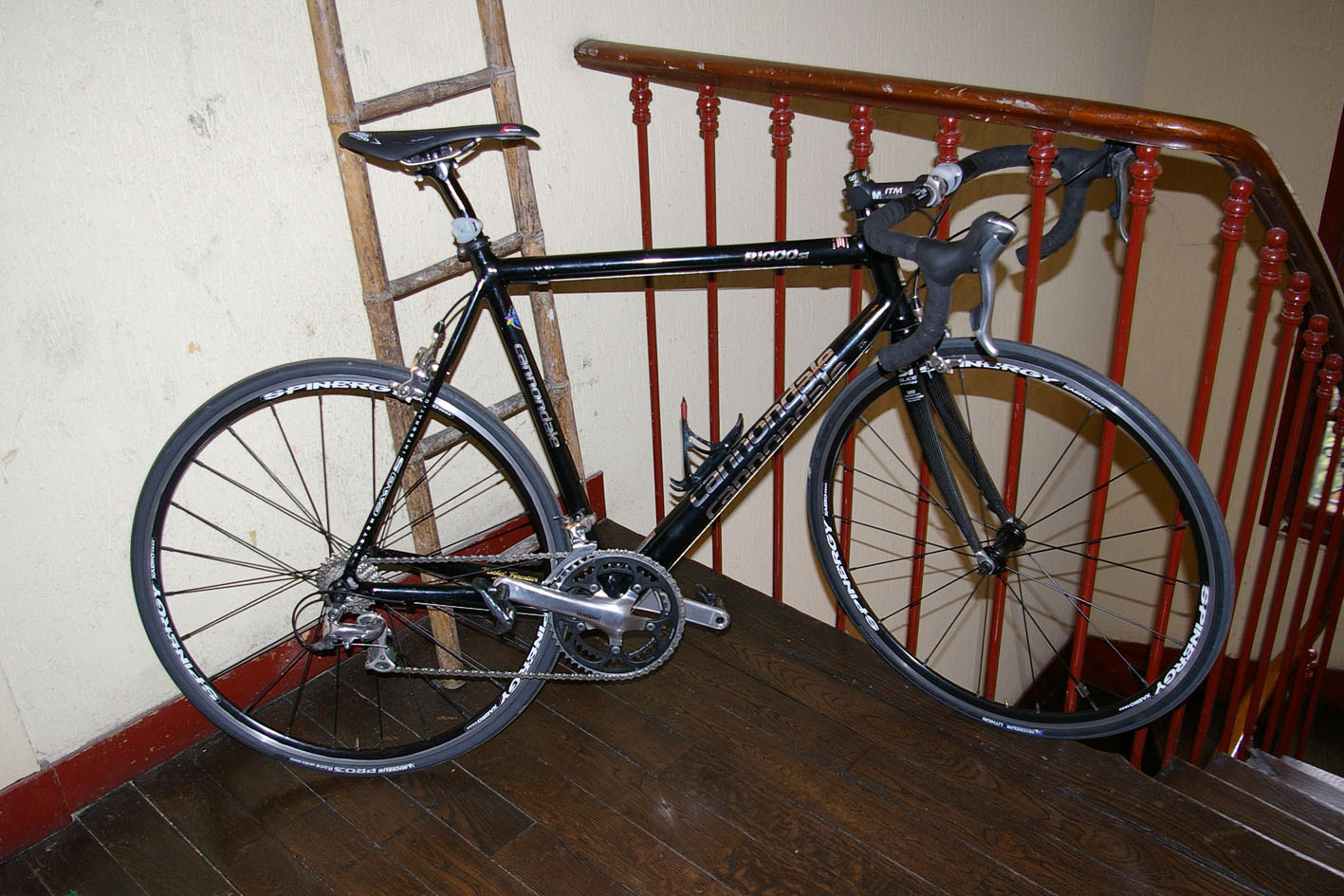 IMGP0179.jpg