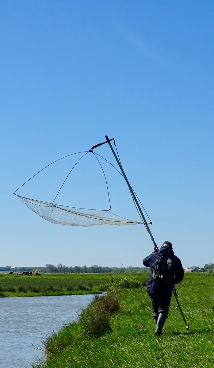 peche au carrelet